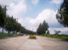 FOR SALE: Lot / Land / Farm Cavite 4