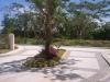 FOR SALE: Lot / Land / Farm Tagaytay 3