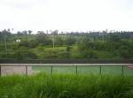 FOR SALE: Lot / Land / Farm Cavite 8