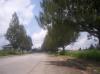 FOR SALE: Lot / Land / Farm Tagaytay 5