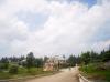 FOR SALE: Lot / Land / Farm Tagaytay 6