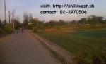 FOR SALE: Lot / Land / Farm Rizal > Cainta 7