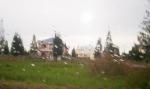 FOR SALE: Lot / Land / Farm Nueva Ecija > Cabanatuan 8
