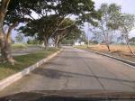 FOR SALE: Lot / Land / Farm Cavite 12
