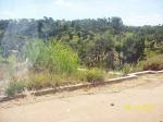 FOR SALE: Lot / Land / Farm Rizal > Antipolo 13