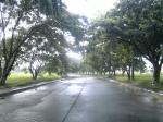 FOR SALE: Lot / Land / Farm Cavite 11