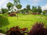FOR SALE: Lot / Land / Farm Cavite 9