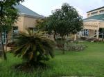 FOR SALE: Lot / Land / Farm Cavite 16