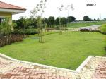FOR SALE: Lot / Land / Farm Cavite 14