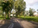 FOR SALE: Lot / Land / Farm Cavite > Dasmarinas 10
