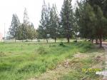 FOR SALE: Lot / Land / Farm Bulacan 14