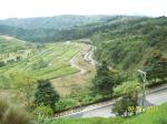 FOR SALE: Lot / Land / Farm Tagaytay 12