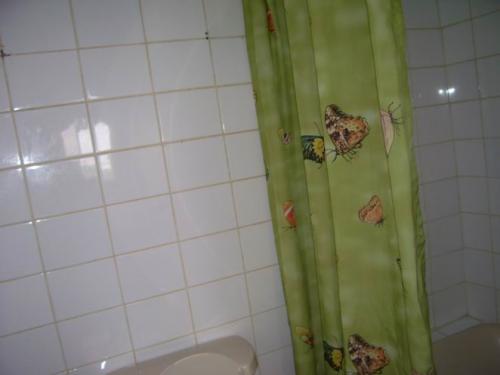 Toilet & Bath