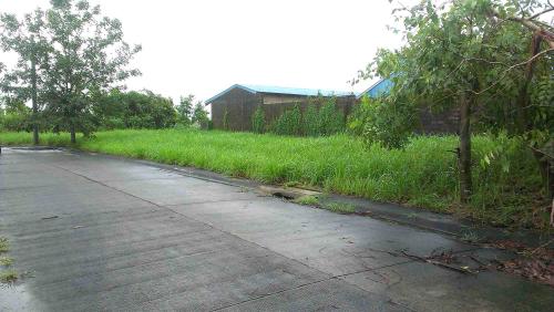 FOR SALE: Lot / Land / Farm Cavite > Silang 1