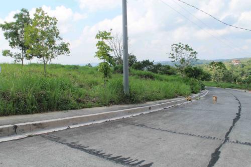 FOR SALE: Lot / Land / Farm Batangas