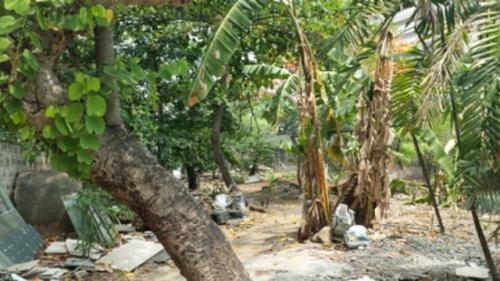 FOR SALE: Lot / Land / Farm Manila Metropolitan Area > Pasig