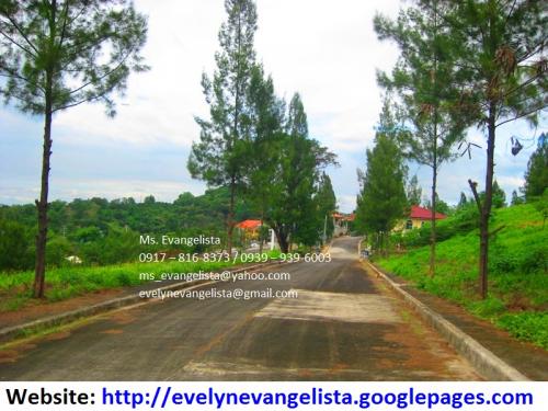 FOR SALE: Lot / Land / Farm Rizal 4