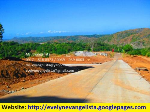 FOR SALE: Lot / Land / Farm Rizal 2