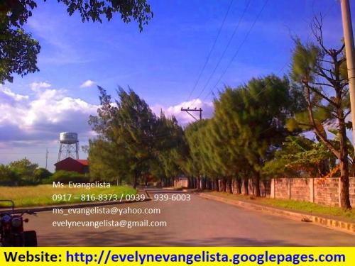 FOR SALE: Lot / Land / Farm Rizal 1