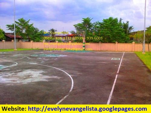 FOR SALE: Lot / Land / Farm Rizal 2