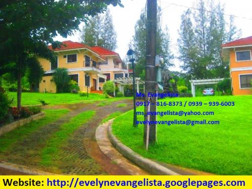 FOR SALE: Lot / Land / Farm Zambales 4