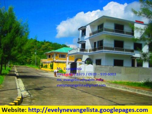 FOR SALE: Lot / Land / Farm Zambales 4