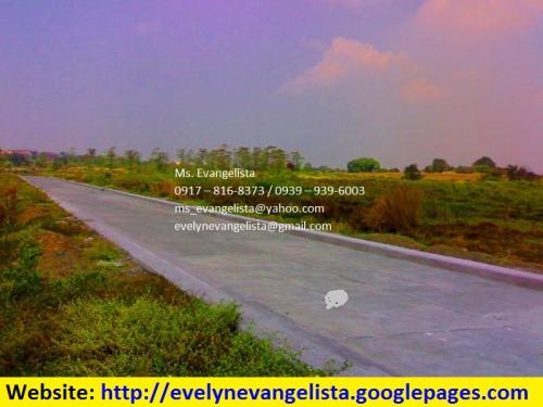 FOR SALE: Lot / Land / Farm Manila Metropolitan Area > Valenzuela 2