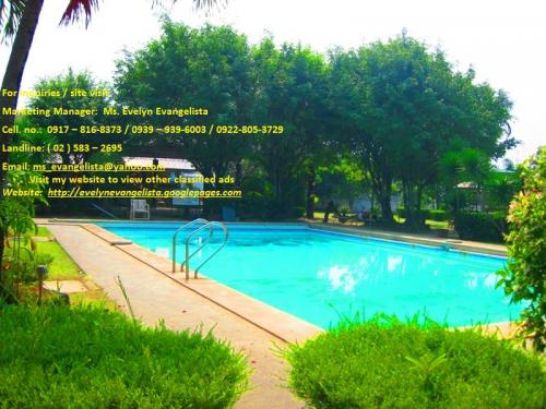 FOR SALE: Lot / Land / Farm Cavite 3