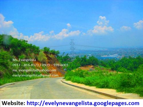 FOR SALE: Lot / Land / Farm Rizal 2