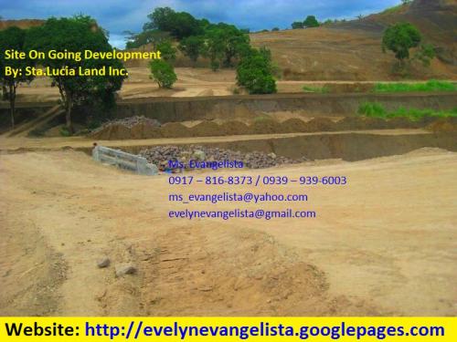 FOR SALE: Lot / Land / Farm Rizal 4