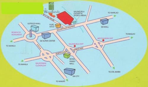 FOR SALE: Lot / Land / Farm Manila Metropolitan Area > Valenzuela 5
