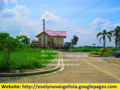 FOR SALE: Lot / Land / Farm Pangasinan 2