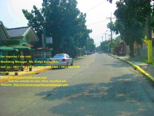 FOR SALE: Lot / Land / Farm Cavite 3