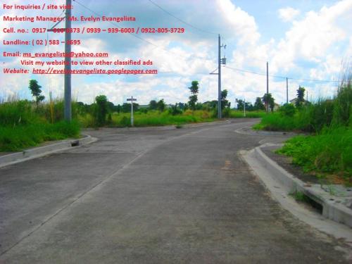 FOR SALE: Lot / Land / Farm Cavite 1