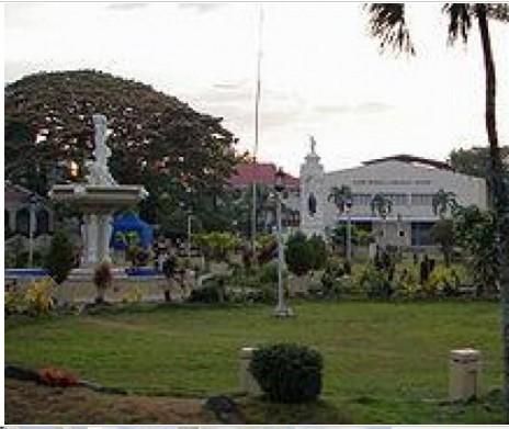 FOR SALE: Lot / Land / Farm Bohol