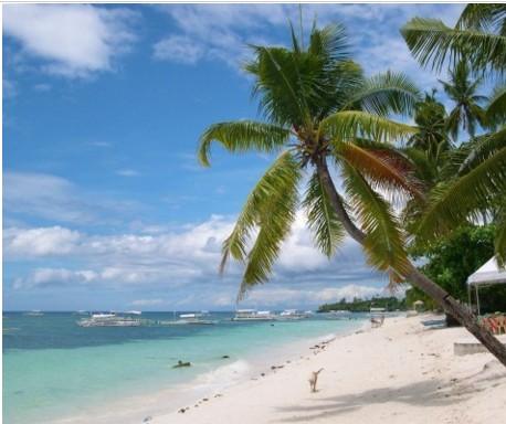 FOR SALE: Lot / Land / Farm Bohol 2