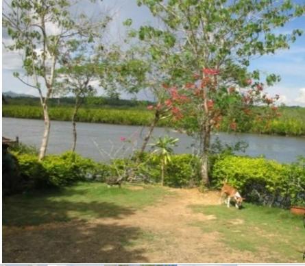 FOR SALE: Lot / Land / Farm Bohol 3