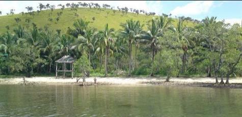 FOR SALE: Lot / Land / Farm Palawan