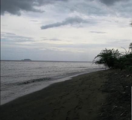 FOR SALE: Lot / Land / Farm Palawan 1