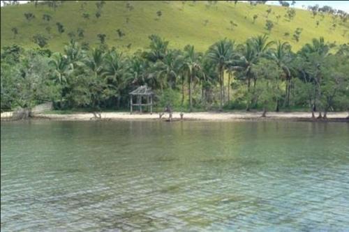 FOR SALE: Lot / Land / Farm Palawan 2