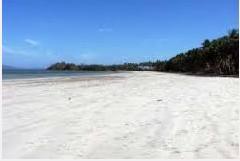 FOR SALE: Lot / Land / Farm Palawan 3