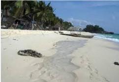 FOR SALE: Lot / Land / Farm Palawan 4