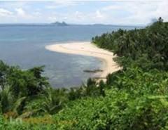 FOR SALE: Lot / Land / Farm Palawan 5