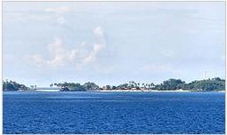 FOR SALE: Lot / Land / Farm Cebu 1
