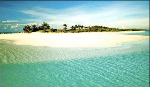 FOR SALE: Lot / Land / Farm Cebu 2
