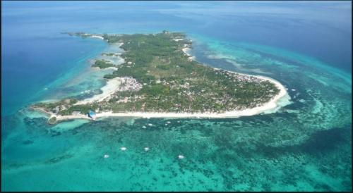 FOR SALE: Lot / Land / Farm Cebu 3
