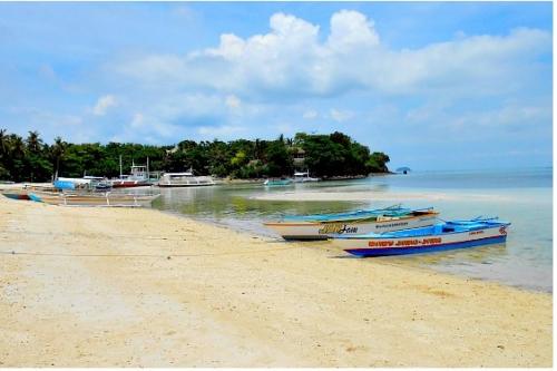 FOR SALE: Lot / Land / Farm Cebu 4