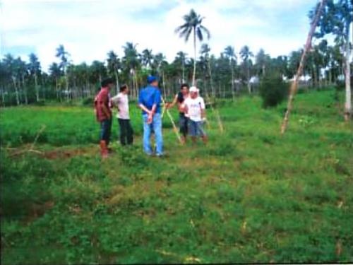 FOR SALE: Lot / Land / Farm Batangas 2