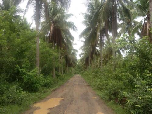 FOR SALE: Lot / Land / Farm Batangas