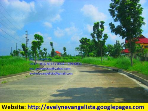 FOR SALE: Lot / Land / Farm Pangasinan 3